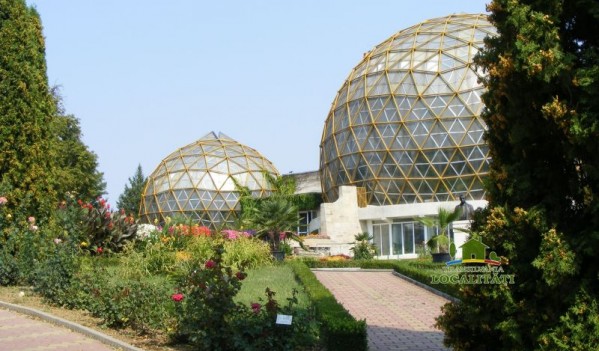 Jibouanul Cosmin Sicora, director interimar al Grădinii Botanice din Cluj Jibouanul Cosmin Sicora, director interimar al Grădinii Botanice din Cluj