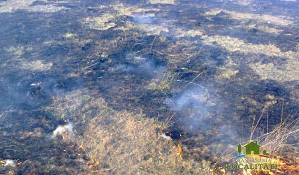 Șase incendii de vegetație uscată produse în Sălaj, într-o singură zi Șase incendii de vegetație uscată produse în Sălaj, într-o singură zi