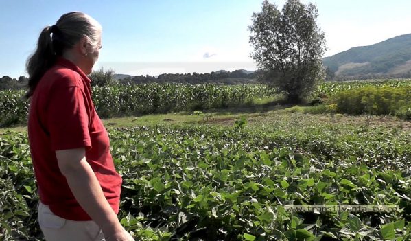 Pasiune ÅŸi voinţă duse la extrem – agricultură la 100 de km! (VIDEO-Galerie FOTO) Pasiune ÅŸi voinţă duse la extrem – agricultură la 100 de km! (VIDEO-Galerie FOTO)