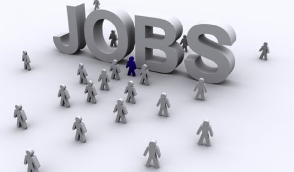 240 locuri de muncă vacante în județul Sălaj 240 locuri de muncă vacante în județul Sălaj